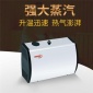 哈維亞蒸汽機(jī)