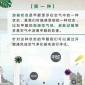 甲醛在室內的幾種狀態？如何更好的去除甲醛