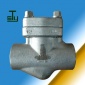 溫州盛天余閥門有限公司 專業(yè)不銹鋼止回閥H61W-1500LB dn15-dn50