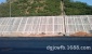 生產供應 綠化無紡布diy 12g護坡綠化吸水沙發無紡布