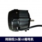 農(nóng)用噴霧器柱塞泵三缸打藥機(jī)26泵48幅打藥泵電機(jī)配件