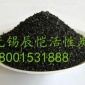 廠家批發(fā)供應(yīng) 果殼活性炭  凈水凈氣  免費寄樣 可網(wǎng)上訂購