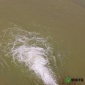 朝前** 新辦沙場泥漿污水處理環評達標壓泥漿機 成都砂石廠泥漿壓濾機