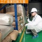 廠家定制殺蟲滅蟲方案 江蘇滅老鼠滅蟑螂公司 **無二次污染
