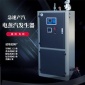 電熱汽發生器 廠家