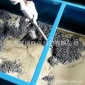 移動分體清渣車 吸泥機 液槽清洗機 除油除渣除臭過濾機濾油機