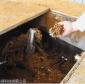 動物無害化場所除臭劑