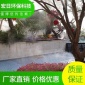 霧之源  噴霧造景系統  房地產造霧