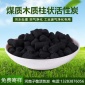 1.5mm 防毒口罩面具 廢氣處理凈化煤炭 （改良）煤質柱狀活性炭