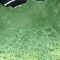 河南工業級硫酸亞鐵  廠家