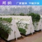 氣霧栽培 氣霧栽培技術 蔬菜氣霧栽培 提高空間利用率 邦納廠家直售