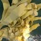 鋼鐵廠高爐煤氣煙氣凈化布袋 ** 耐強酸堿濾料 耐高溫覆膜 PTFE 除塵布袋；廠家生產技術咨詢。