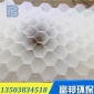 斜管填料、蜂窩斜管、斜管沉淀池、六角蜂窩斜管，蜂窩斜管生產(chǎn)廠家