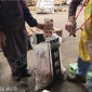 蘇州專業(yè)食品處理公司