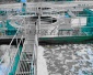 買設備 要選山東百豐皮革污水處理設備 地埋一體化污水處理設備