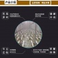 管式曝氣器 卡板式曝氣管 專業生產廠家可安裝