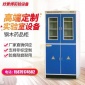 廠家實(shí)驗(yàn)室高防酸防堿防腐蝕鋼木藥品柜